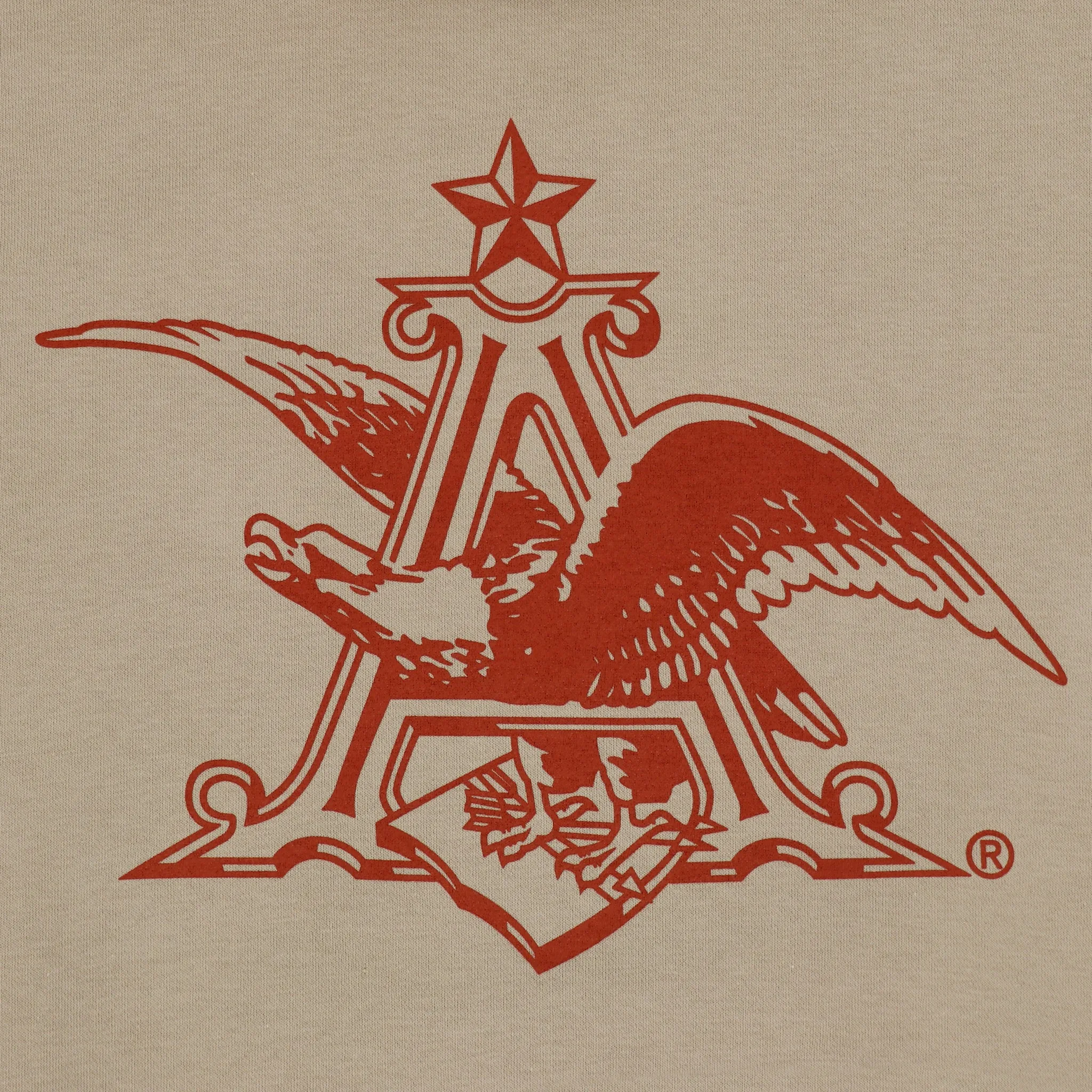 A & Eagle Back Logo Hoodie
