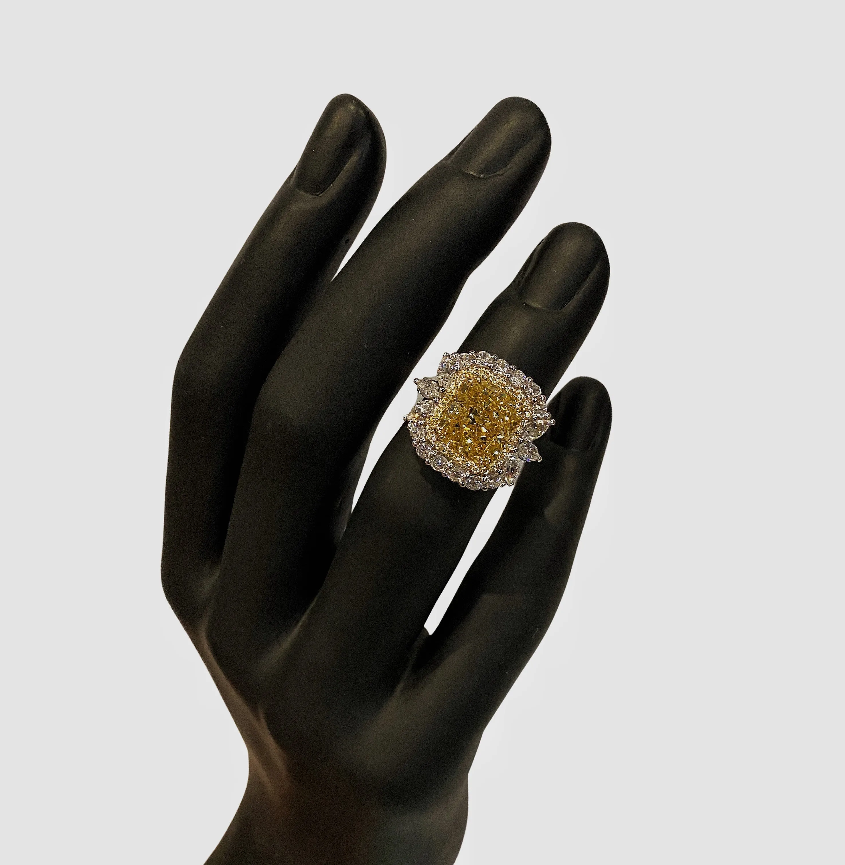 Helianthus