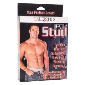 Mr. Stud